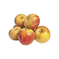 PLUS Appels Goudreinet