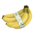 Biologisch PLUS Bananen biologisch Fairtrade klimaatn.